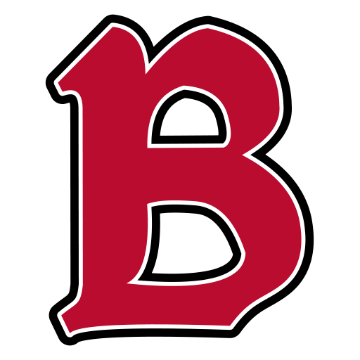 Benedictine University Favicon